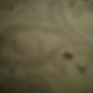 Meet your Posher, Norma